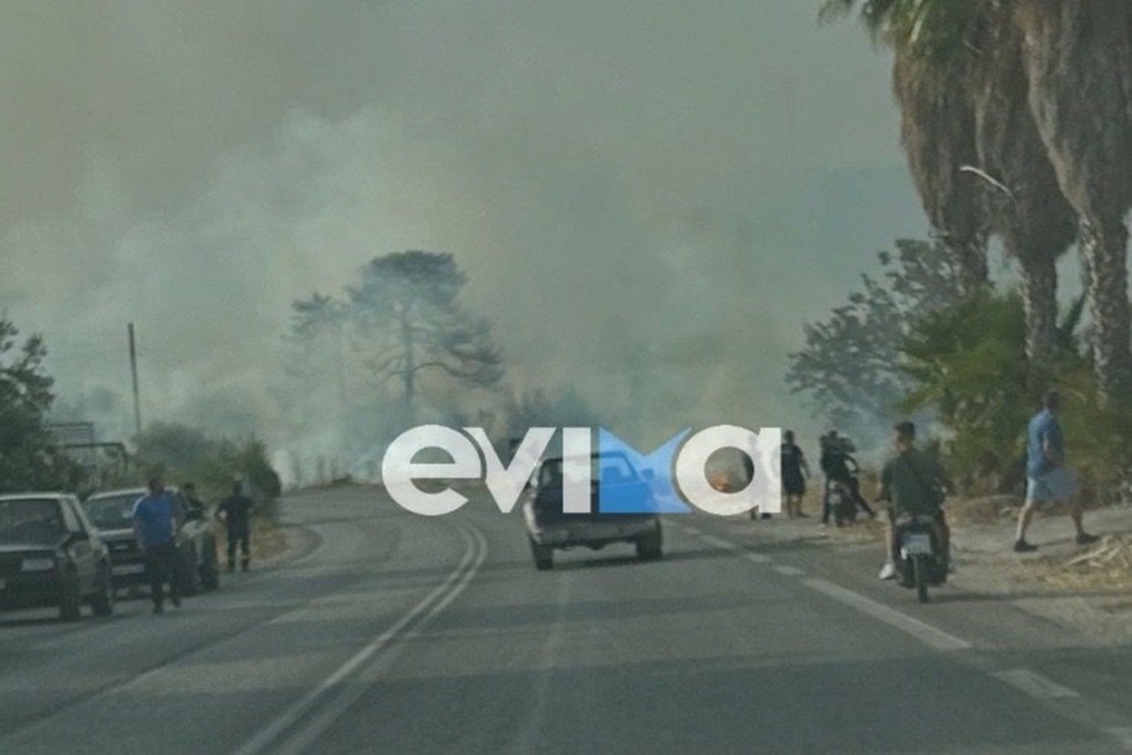 Υπό μερικό έλεγχο η φωτιά σε χαμηλή βλάστηση στην Ερέτρια