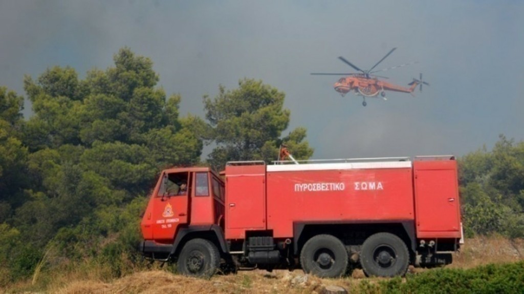 Εύβοια: Συνελήφθη αλλοδαπός για απόπειρα εμπρησμού από πρόθεση σε δασική έκταση