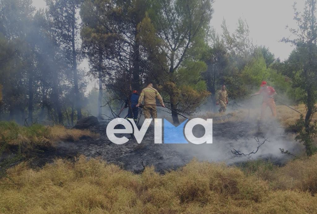 Φωτιά από κεραυνό στη Στενή Ευβοίας (pic)