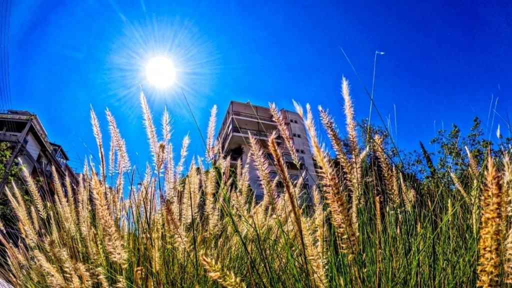 Ξεπέρασε τους 33.6 °C η μέγιστη θερμοκρασία την Πέμπτη 8/5 – Πτώση τις επόμενες μέρες