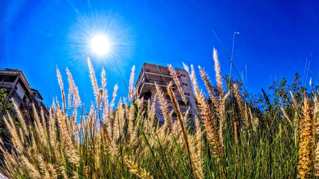 Ξεπέρασε τους 33.6 °C η μέγιστη θερμοκρασία την Πέμπτη 8/5 – Πτώση τις επόμενες μέρες