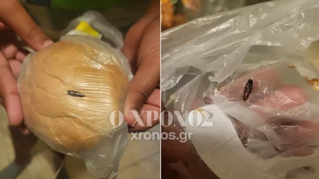 Κομοτηνή: Μαθήτρια εντόπισε κατσαρίδα σε σχολικό γεύμα