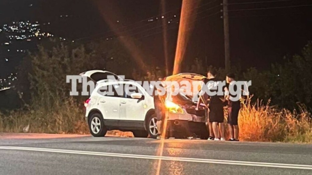 Βόλος: Αυτοκίνητο συγκρούστηκε και σκότωσε αγριογούρουνο