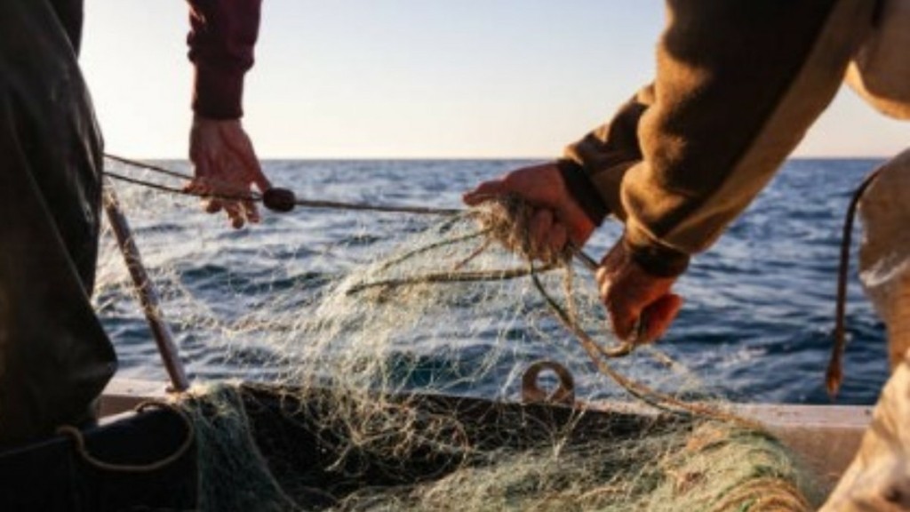 Ελληνική ιχθυοκαλλιέργεια: Πρωτοπορεί στην Ευρωπαϊκή Ένωση 