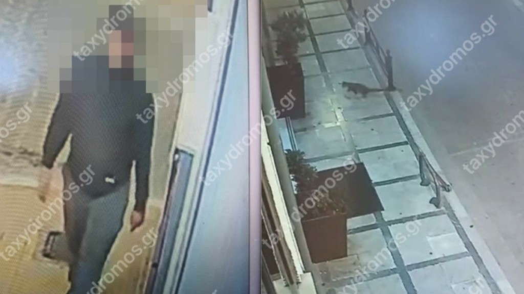Βόλος: Συνελήφθη ο κατά συρροή δολοφόνος των αδέσποτων ζώων