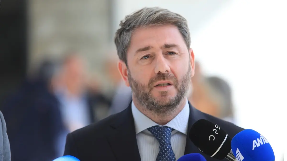 Το μήνυμα του Ανδρουλάκη για τα τρία χρόνια από τον θάνατο της Φώφης Γεννηματά