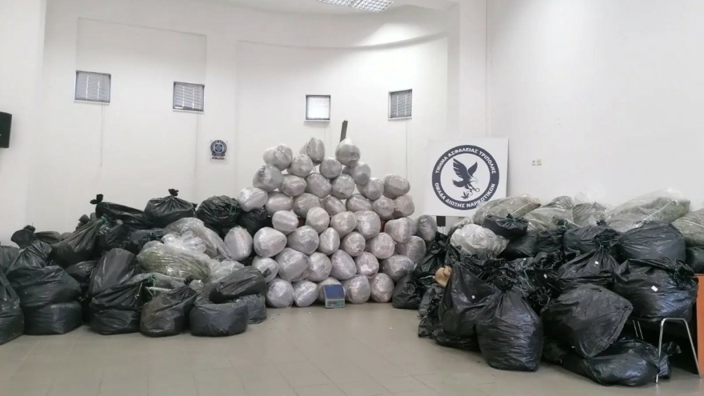 Αρκαδία: Εντοπίστηκε φυτεία δενδρυλλίων κάνναβης – Συνελήφθη 1 άτομο