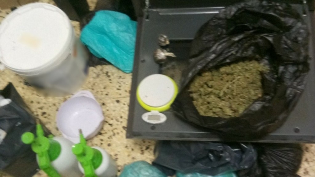 Θεσσαλονίκη: Καλλιεργούσαν σε διαμέρισμα 75 φυτά κάνναβης – Έκρυβαν τα ναρκωτικά σε φούρνο