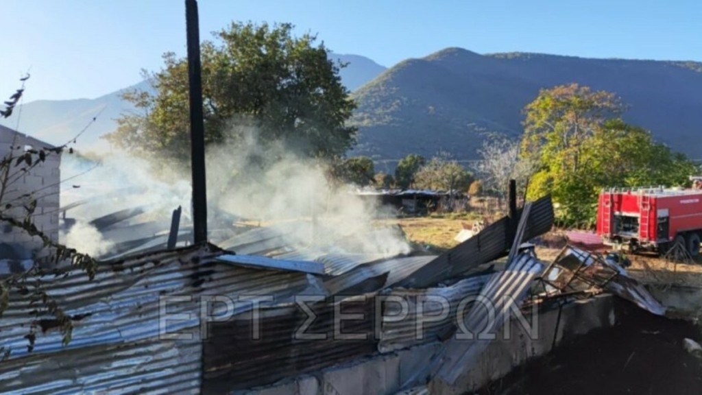 Σέρρες: Πυρκαγιά σε κτηνοτροφική μονάδα στον Δήμο Σιντικής – Νεκρά 20 αιγοπρόβατα