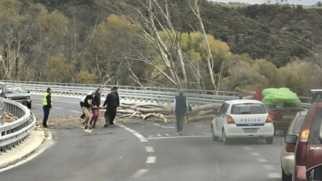 Τέμπη: Έπεσε δέντρο στη μέση της Εθνικής Οδού – Διεκόπη η κυκλοφορία