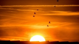 Καιρός: Καύσωνας με 44αρια και ισχυρούς ανέμους – Το έκτακτο δελτίο της ΕΜΥ