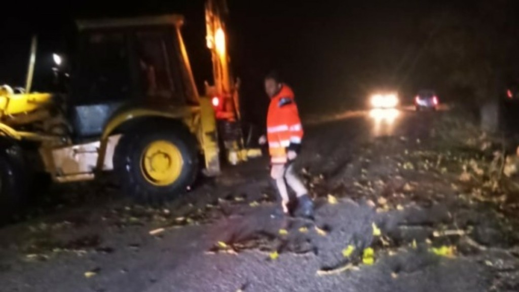 Πολλά προβλήματα στα Τρίκαλα λόγω ισχυρών ανέμων – Έπεσαν δέντρα και έκλεισαν δρόμοι