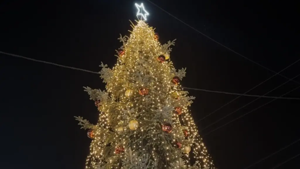 Πειραιάς: Στις 7/12 η φωταγώγηση του χριστουγεννιάτικου δέντρου