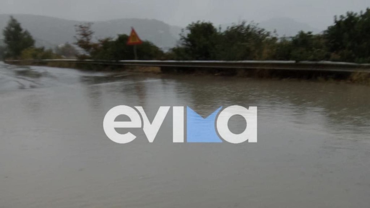 Εύβοια: Προβλήματα από την κακοκαιρία Alexandros – Πλημμύρισαν δρόμοι, έπεσαν δέντρα