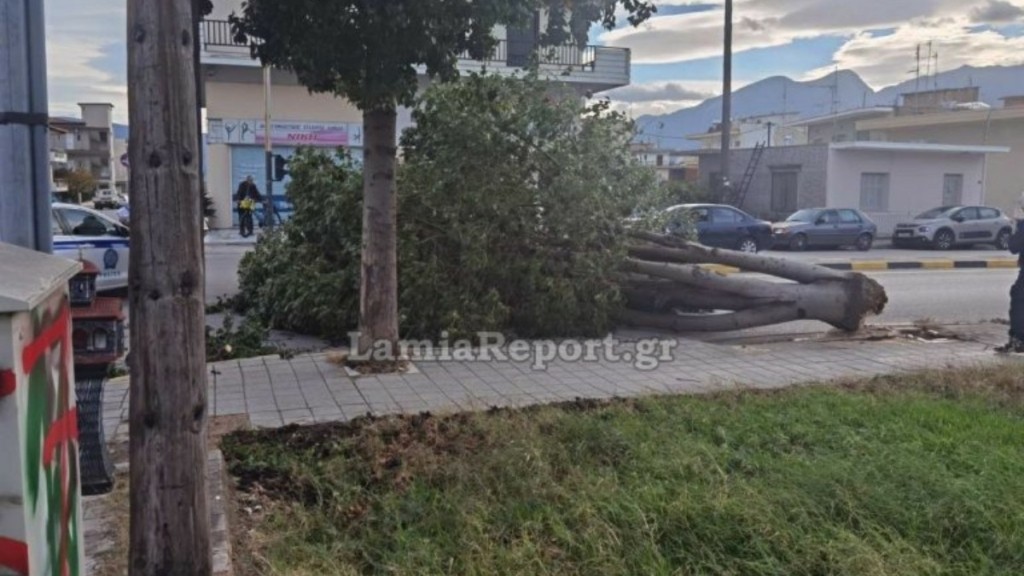 Τρόμος στη Λαμία – Δέντρο έπεσε πάνω σε διερχόμενο αυτοκίνητο λόγω αέρα
