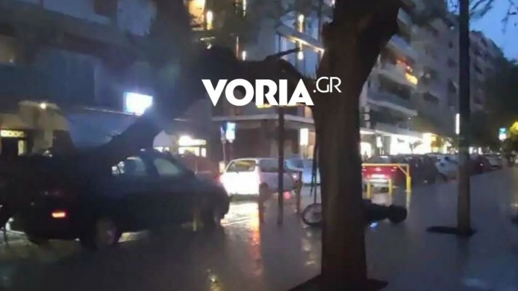 Κακοκαιρία Bora: Πτώσεις δέντρων λόγω των ανέμων στη Θεσσαλονίκη