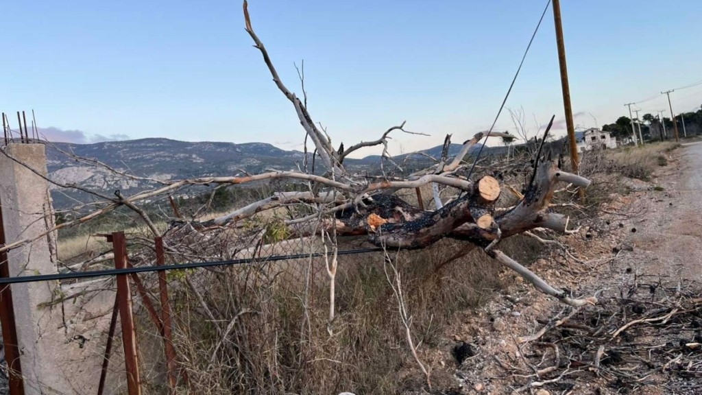 Θρακομακεδόνες: Ισχυροί άνεμοι στην περιοχή –  Δέντρο έπεσε σε κολώνα ηλεκτροδότησης (pics)