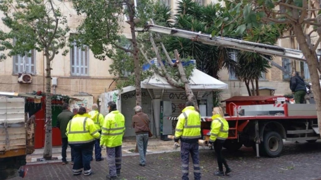 Ηράκλειο: Δέντρο ξεριζώθηκε κι έπεσε πάνω σε περίπτερο – Δεν υπήρξε τραυματισμός (pics+vid)