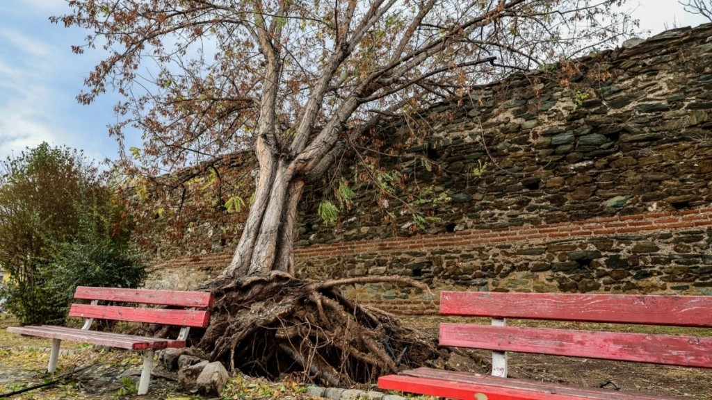 Κακοκαιρία Bora: Πάνω από 3.900 κλήσεις στην πυροσβεστική λόγω των έντονων φαινομένων