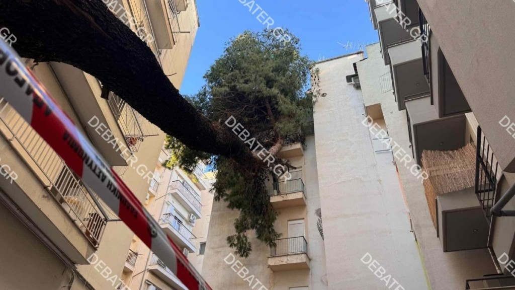 Θεσσαλονίκη: Δέντρο έπεσε πάνω σε πολυκατοικία – Βρίσκεται στο σημείο από το πέρασμα της κακοκαιρίας “BORA”