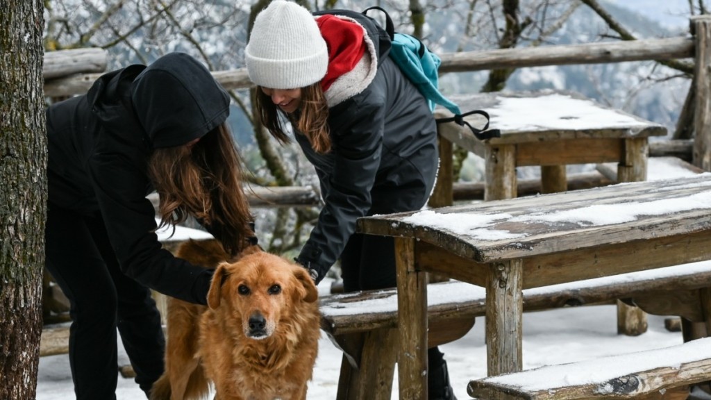 Επικαιροποιήθηκε το έκτακτο δελτίο καιρού της ΕΜΥ – Ισχυρές βροχές και χιονοπτώσεις τις επόμενες ώρες
