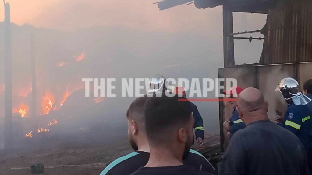 Μαγνησία: Φωτιά κατέστρεψε κτηνοτροφική μονάδα στον Αλμυρό – Δείτε εικόνες