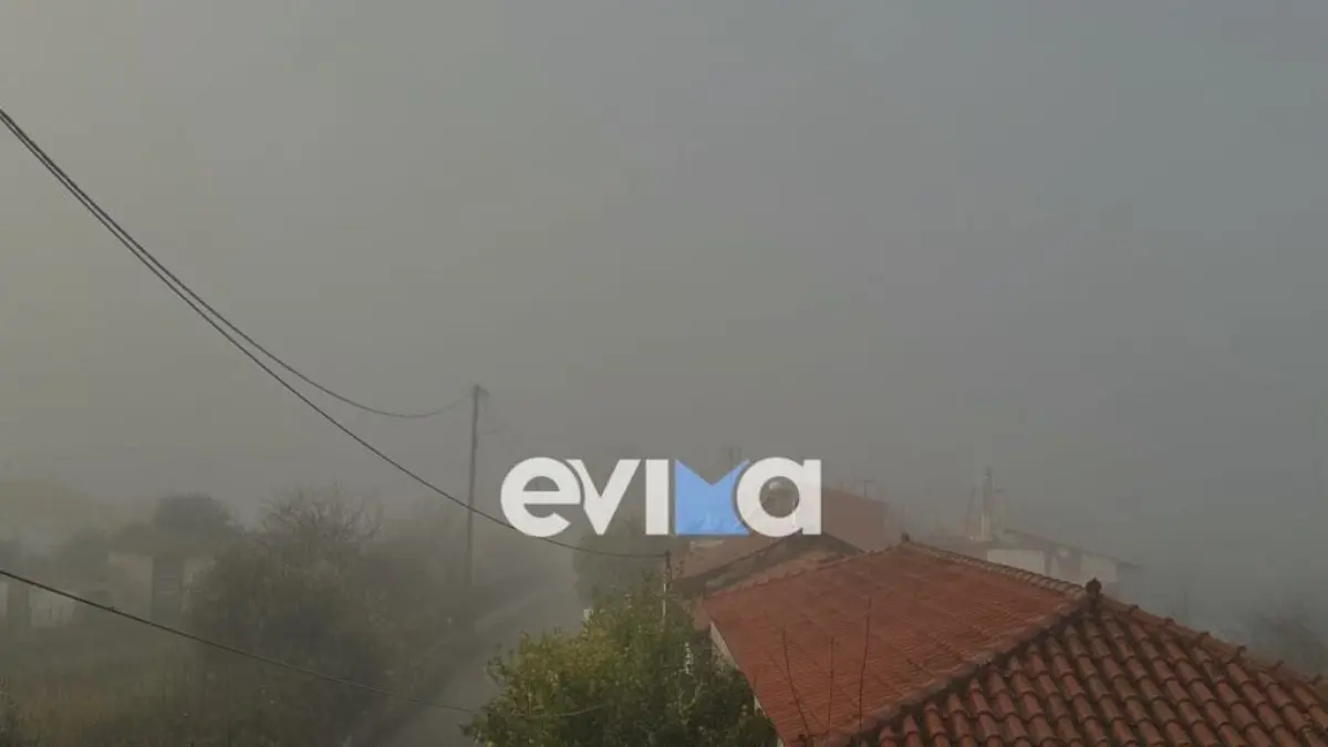 Εύβοια: “Κρύφτηκε” από πυκνή ομίχλη η περιοχή – Περιορισμένη η ορατότητα για τους κατοίκους