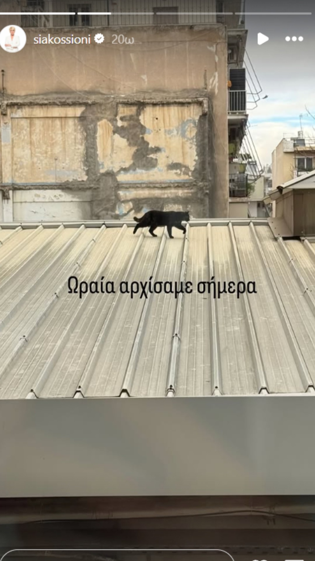 Σία Κοσιώνη
