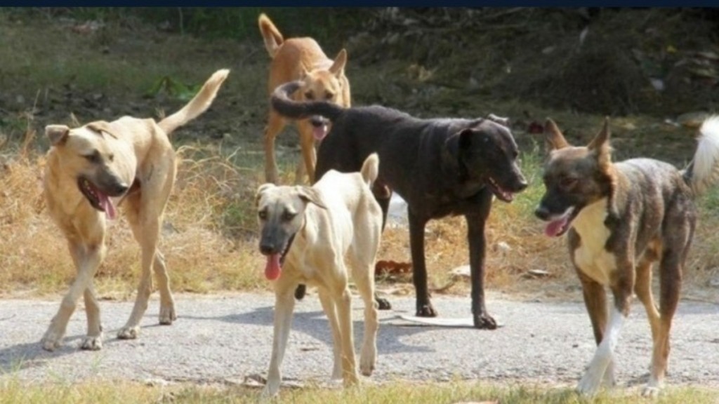 Ροδόπη: Θάνατος Αγγλίδας τουρίστριας στη Μαρώνεια – Το Εφετείο επιβεβαίωσε πως δέχθηκε επίθεση από σκυλιά και όχι από λύκους