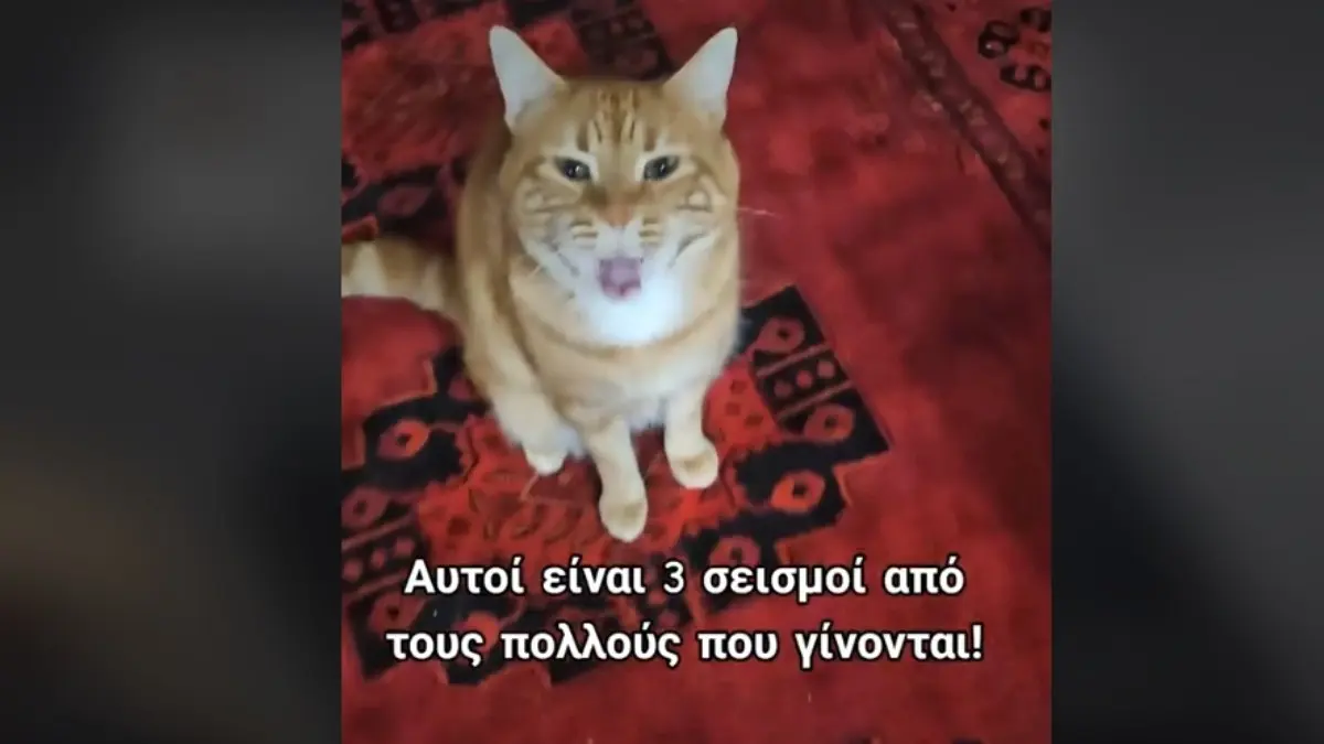 Κάτοικος Σαντορίνης καταγράφει με video τρεις σεισμούς – Η εξοικείωση του κατοικιδίου και της ίδιας με τις σεισμικές δονήσεις (vid)