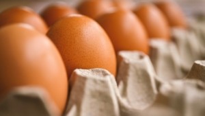 Βαρεθήκατε τα αυγά; 5+1 τροφές με ακόμα περισσότερη πρωτεΐνη