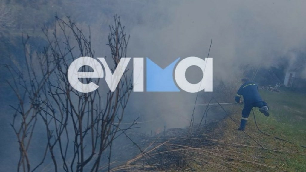Φωτιά σε δασική έκταση στην Εύβοια