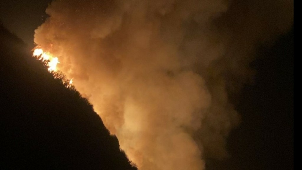 Φωτιά σε δασική έκταση στη Νάξο