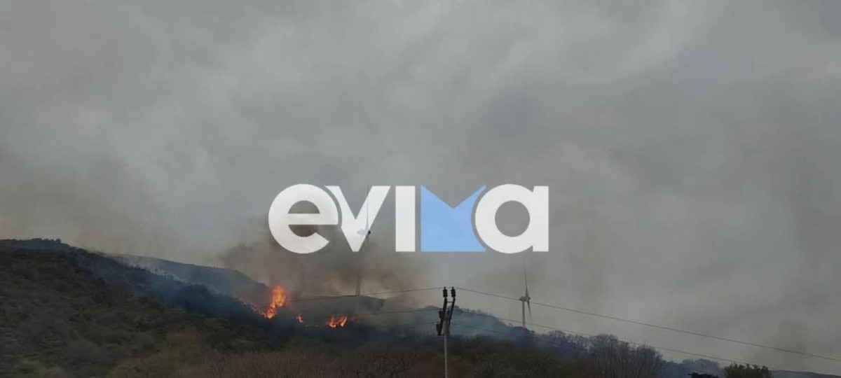 Φωτιά στην Κάρυστο