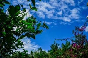 Με τι καιρό θα κάνει ποδαρικό ο Μάρτιος – Οι προγνώσεις Τσατραφύλλια και Κολυδά για τις επόμενες ημέρες