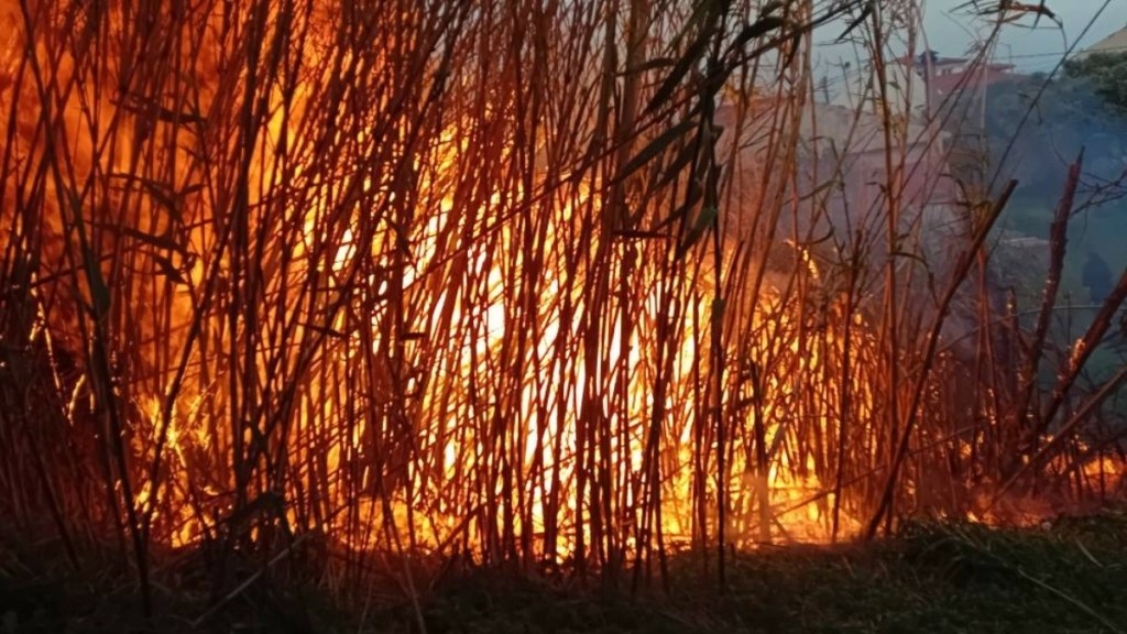 Σάμος: Υπό μερικό έλεγχο η πυρκαγιά (pics & vid)
