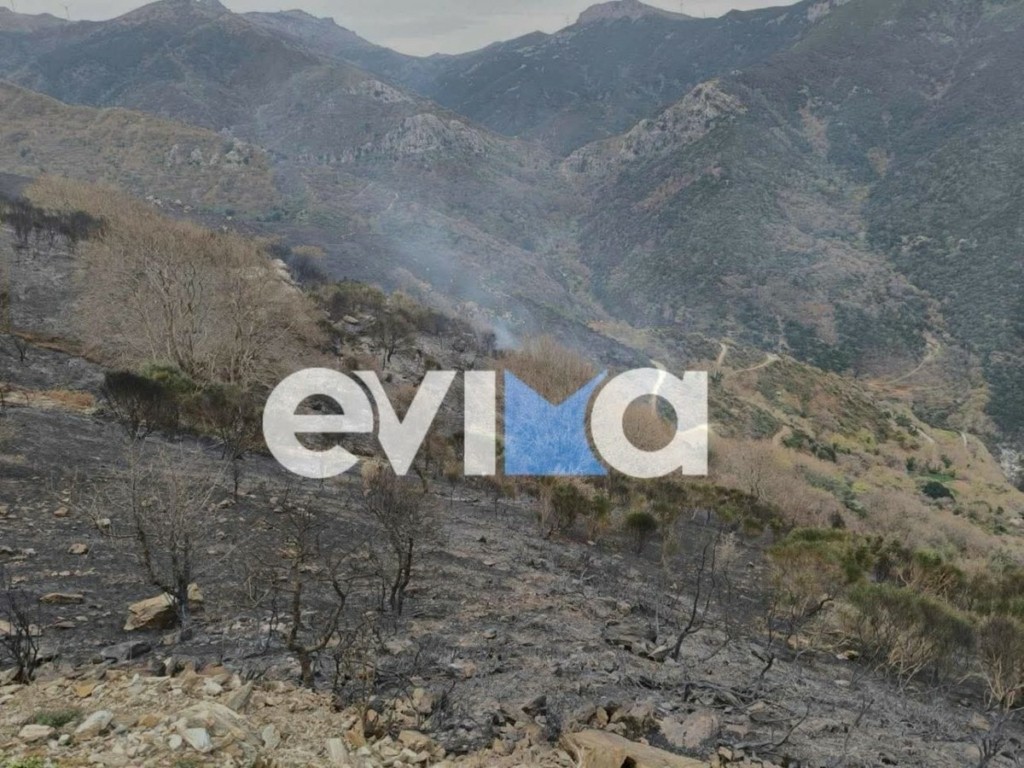 Κάρυστος: Βελτιωμένη η εικόνα της φωτιάς στους Καλλιανούς – Πνέουν ισχυροί άνεμοι