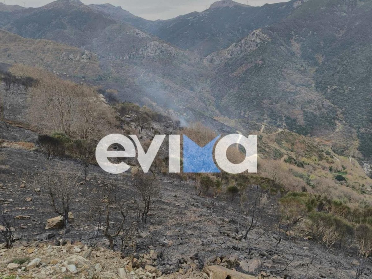 Κάρυστος