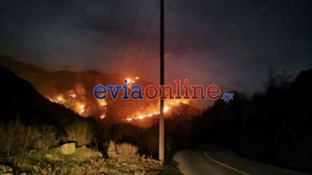 Φωτιά σε δασική έκταση στο Μαρμάρι Καρύστου (Φωτογραφίες)