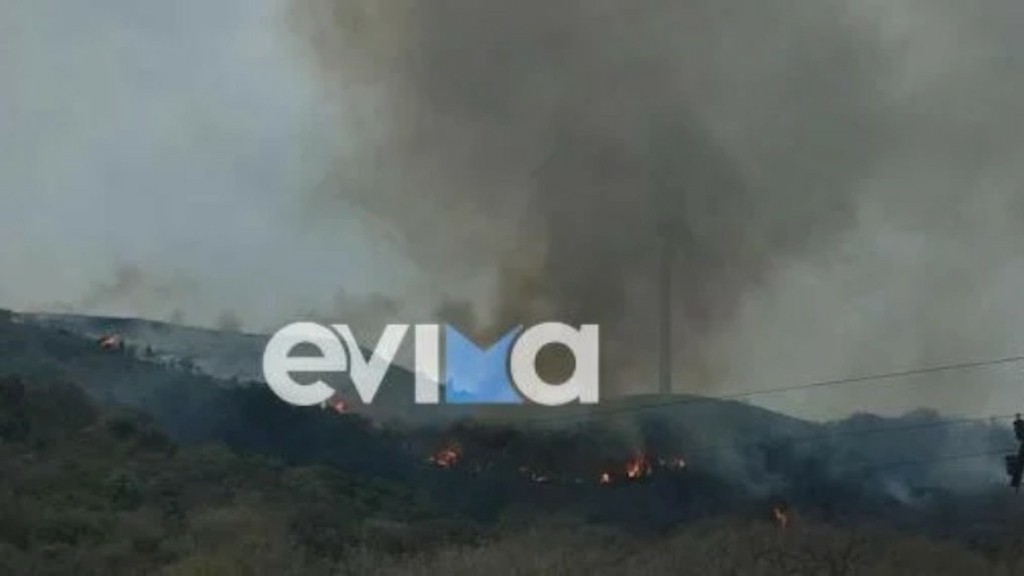 Κάρυστος: Σε ύφεση η φωτιά στους Καλλιάνους