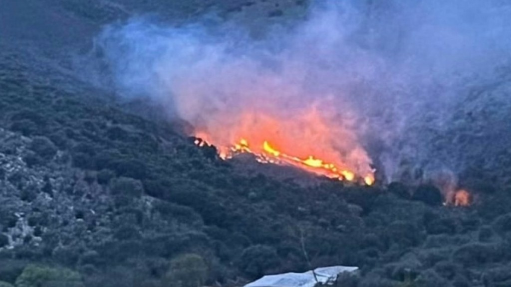 Φωτιά σε δασική έκταση στον Δήμο Σουλίου – Ισχυροί άνεμοι στην περιοχή