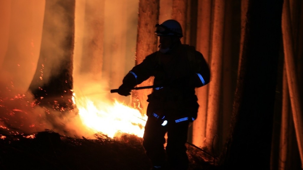 Ιαπωνία: Τιτάνια μάχη με τις φλόγες οι πυροσβέστες – Έχει κάψει 26.000 στρέμματα