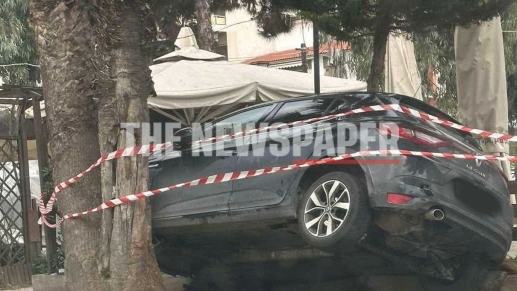 Βόλος: Αυτοκίνητο κατέληξε σε φοίνικες (pic)