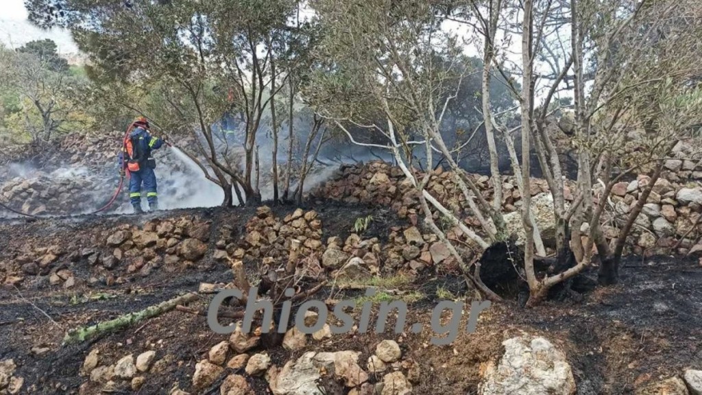 Χίος: Αγρότης πήγε να κάψει ξερόκλαδα και έβαλε φωτιά στο κτήμα του