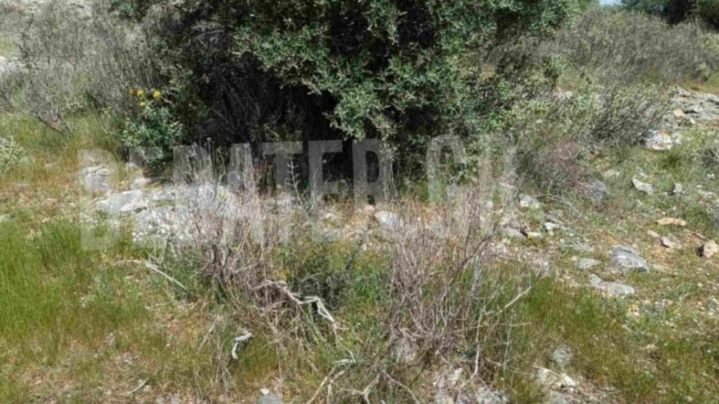 Βασίλης Καλογήρου: Νέα ντοκουμέντα από το σημείο όπου βρέθηκε νεκρός (Βίντεο, φωτογραφίες)