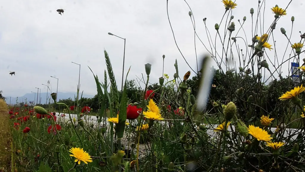 Με τι καιρό θα πιάσουμε τον Μάη – Πότε θα εξασθενήσουν οι άνεμοι και θα ανέβει η θερμοκρασία