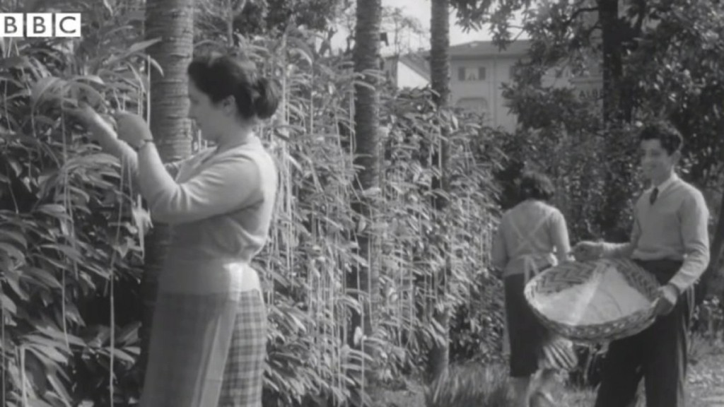 Πρωταπριλιά: Η ιστορική φάρσα του BBC το 1957 με τα… μακαρονόδεντρα – Βίντεο