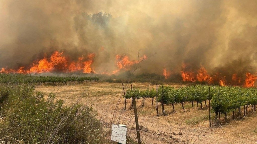 Τεράστιες πυρκαγιές στα περίχωρα της Ιερουσαλήμ – Οδηγοί αναγκάστηκαν να εγκαταλείψουν τα οχήματά τους (vid)