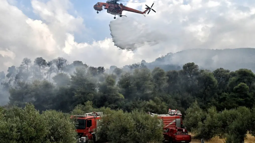 Kατεσβέσθη φωτιά στο Κορωπί μετά από άμεση κινητοποίηση της πυροσβεστικής