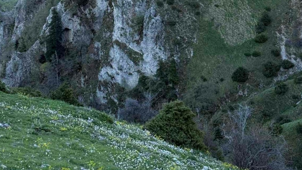 Ιωάννινα: Βρέθηκαν οστά και κρανίο σε δύσβατη περιοχή – Σε εξέλιξη επιχείρηση της ΕΜΑΚ